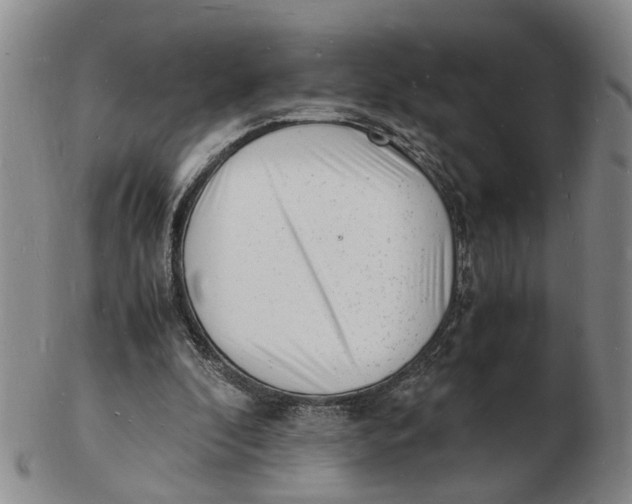 X0000102780296200809081033