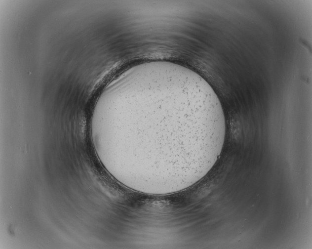 X0000102780304200809081033