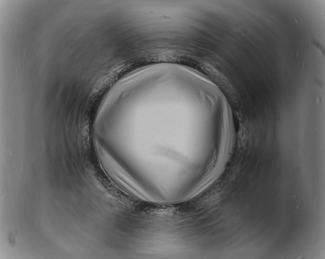 X0000102780306200809081033