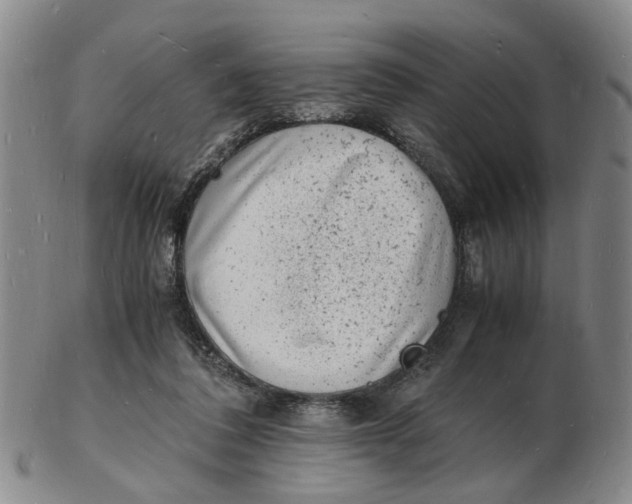 X0000102780308200809081033