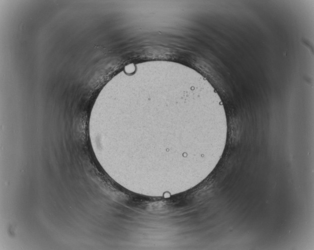 X0000102780309200809081033