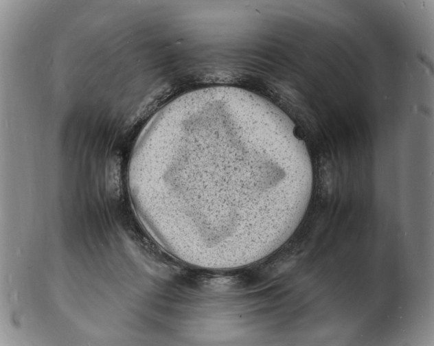 X0000102780312200809081033