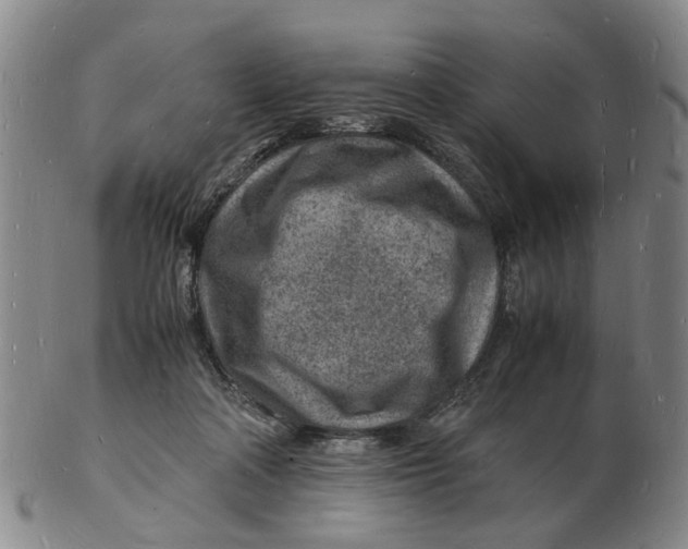 X0000102780314200809081033