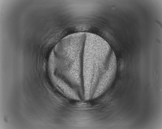 X0000102780315200809081033