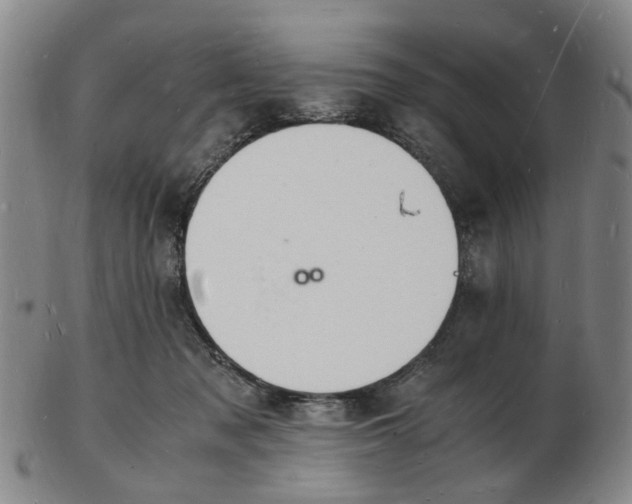 X0000102780317200809081033