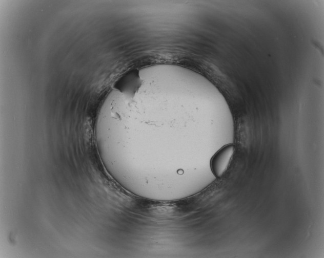 X0000102780318200809081033