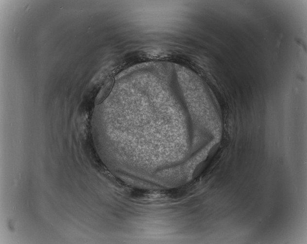 X0000102780319200809081033