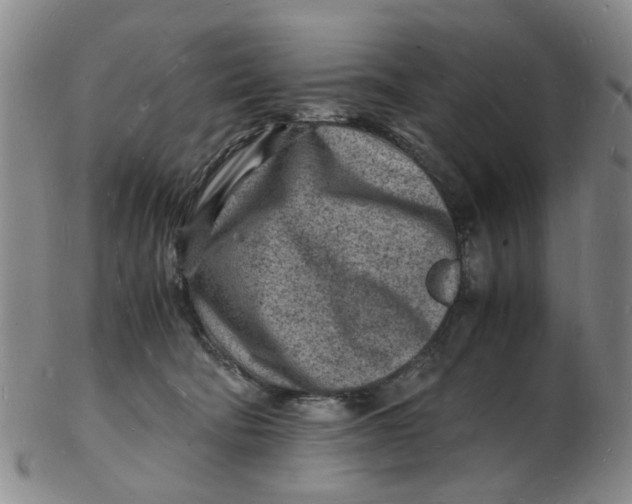 X0000102780322200809081033