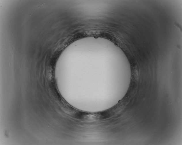 X0000102780323200809081033