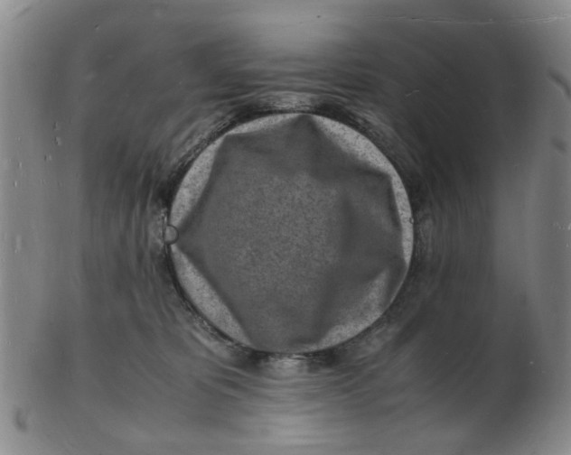 X0000102780325200809081033