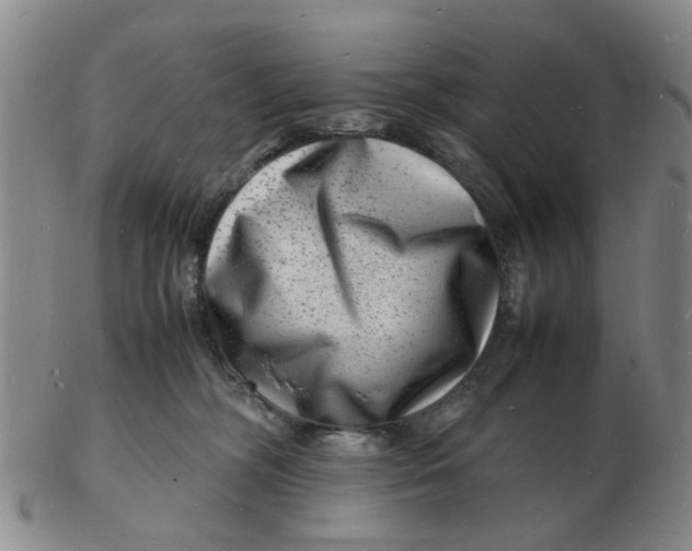 X0000102780326200809081033