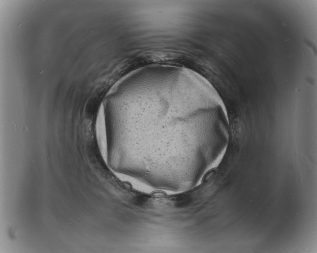 X0000102780327200809081033