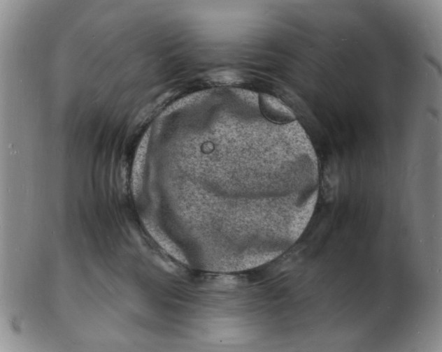 X0000102780330200809081033