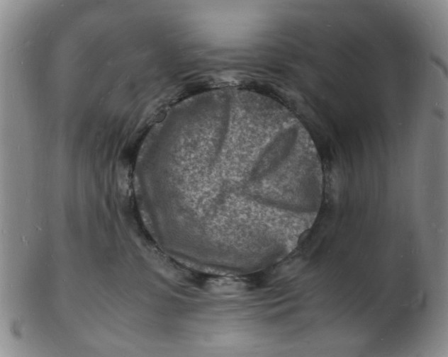 X0000102780331200809081033