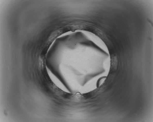 X0000102780333200809081033