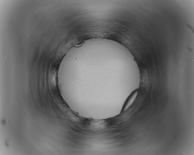 X0000102780334200809081033