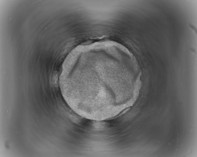 X0000102780336200809081033