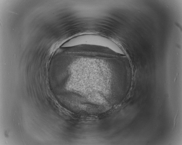 X0000102780337200809081032