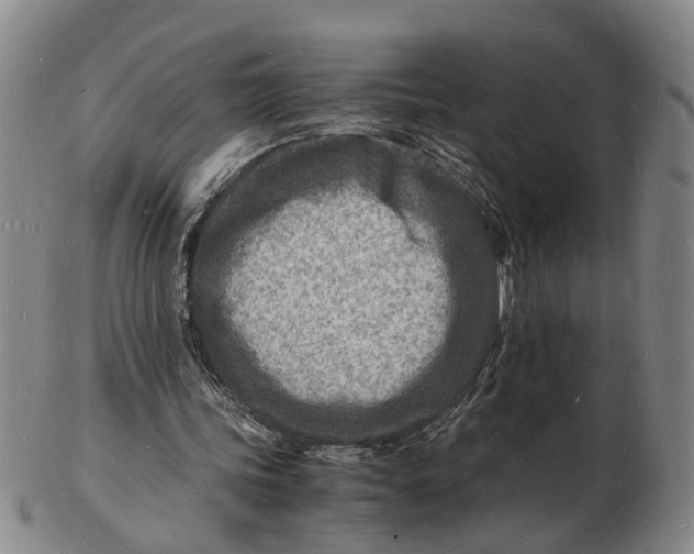 X0000102780339200809081032