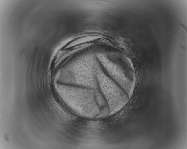 X0000102780342200809081032