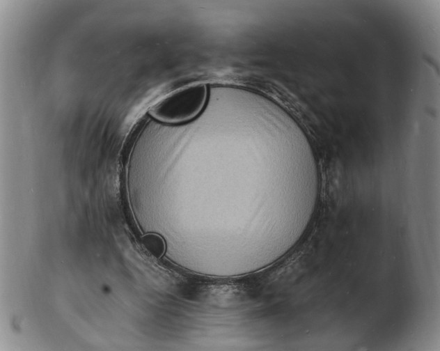 X0000102780344200809081032