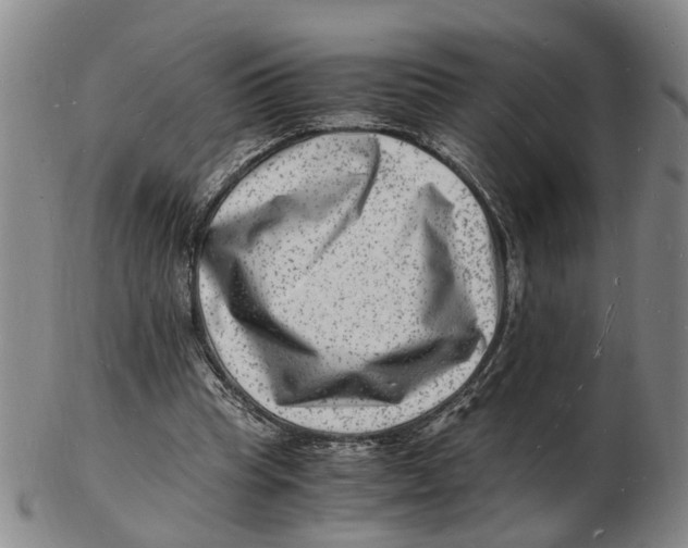 X0000102780345200809081032