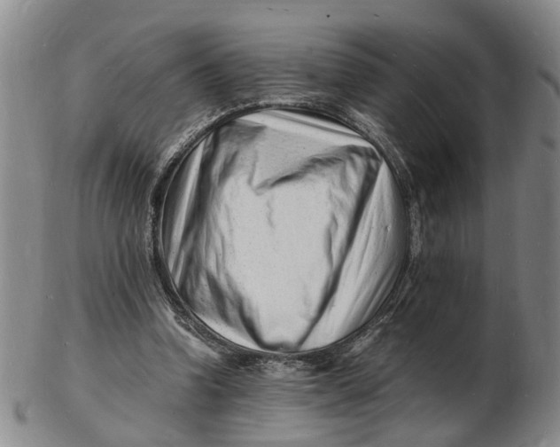 X0000102780346200809081032