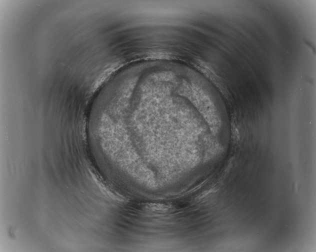 X0000102780347200809081032