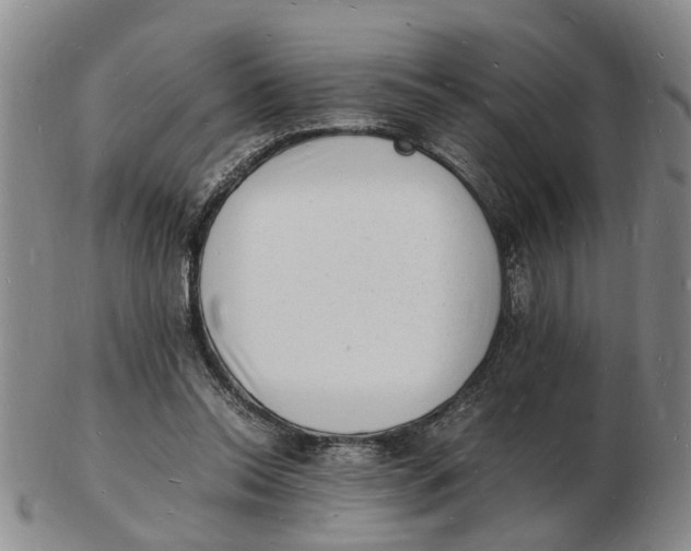 X0000102780350200809081032