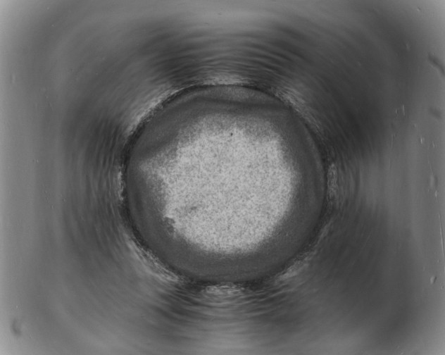 X0000102780351200809081032