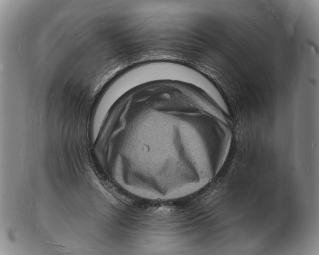 X0000102780352200809081032