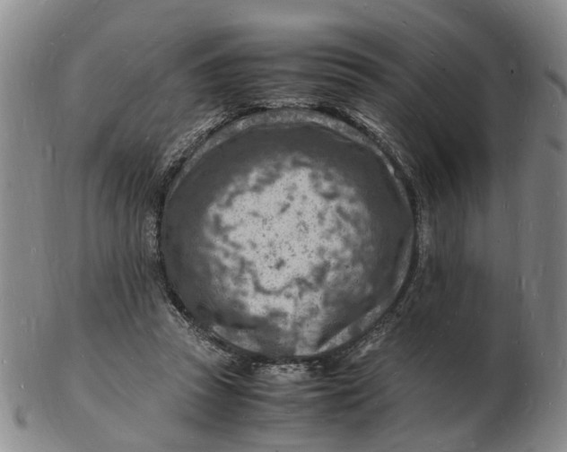 X0000102780353200809081032