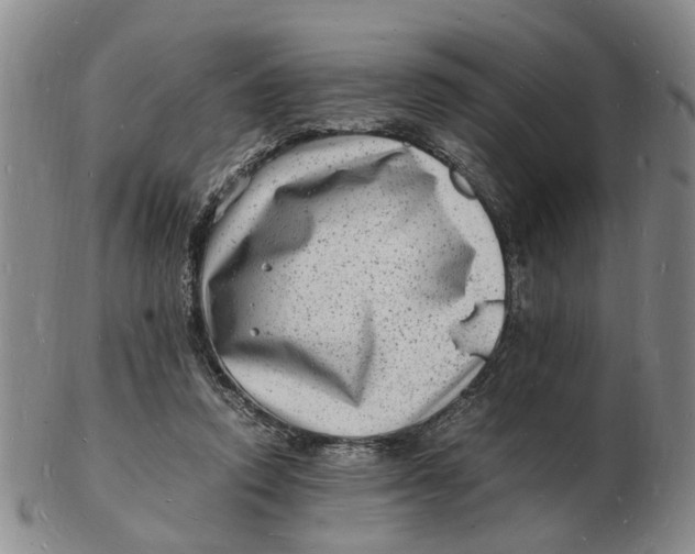 X0000102780354200809081032