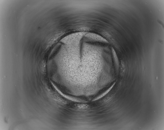 X0000102780355200809081032