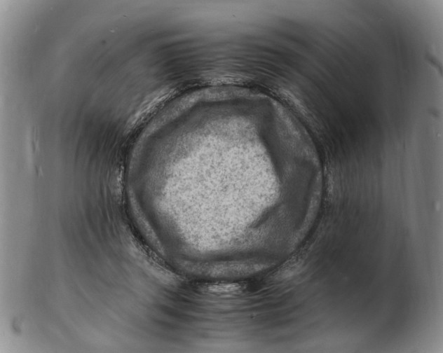 X0000102780357200809081032