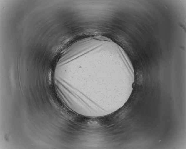 X0000102780358200809081032