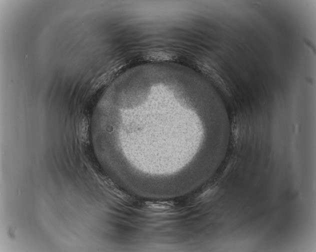 X0000102780359200809081032