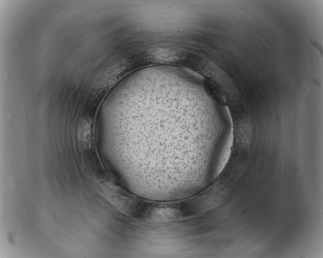 X0000102780360200809081032