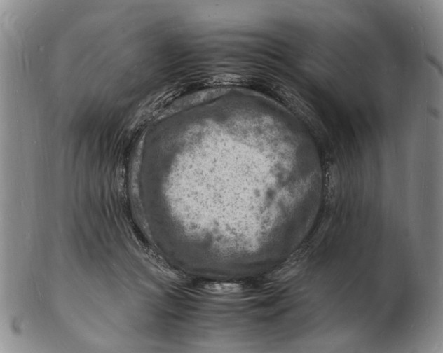 X0000102780361200809081032