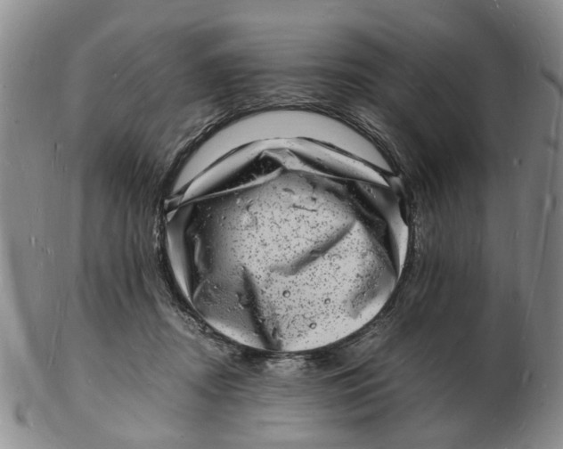 X0000102780362200809081032