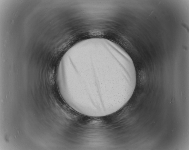 X0000102780364200809081032