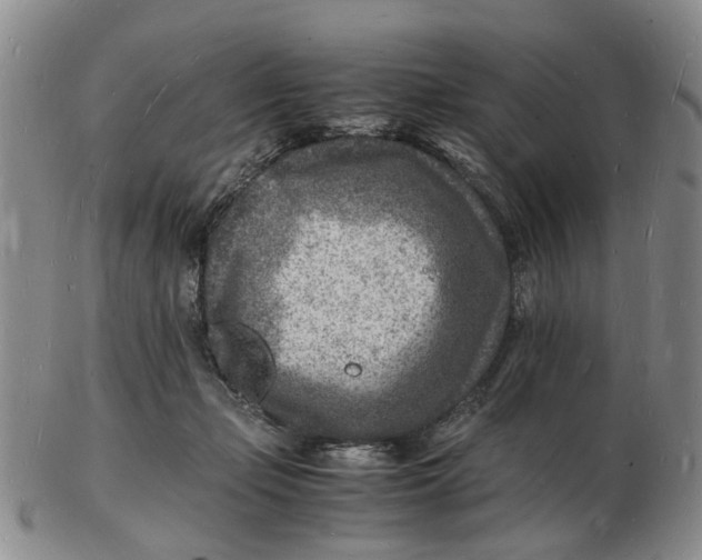 X0000102780365200809081032