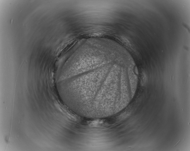 X0000102780366200809081032