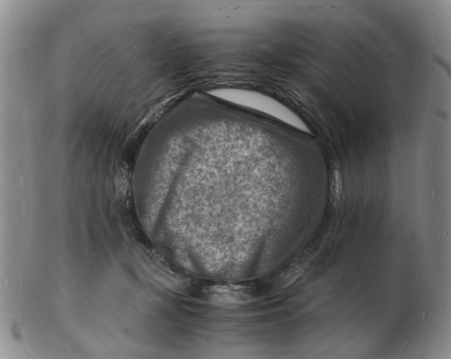 X0000102780367200809081032