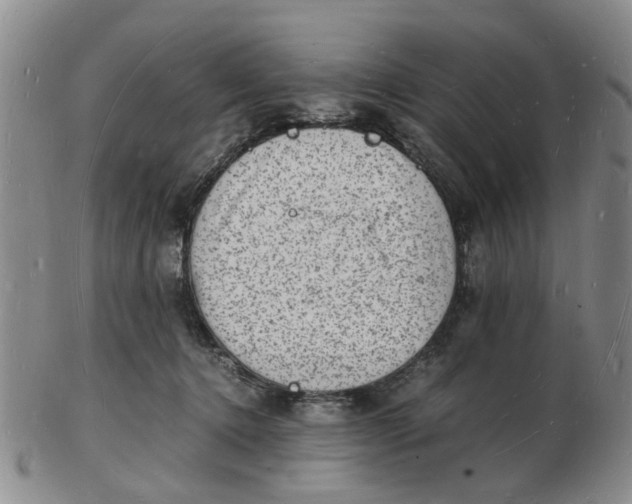 X0000102780368200809081032