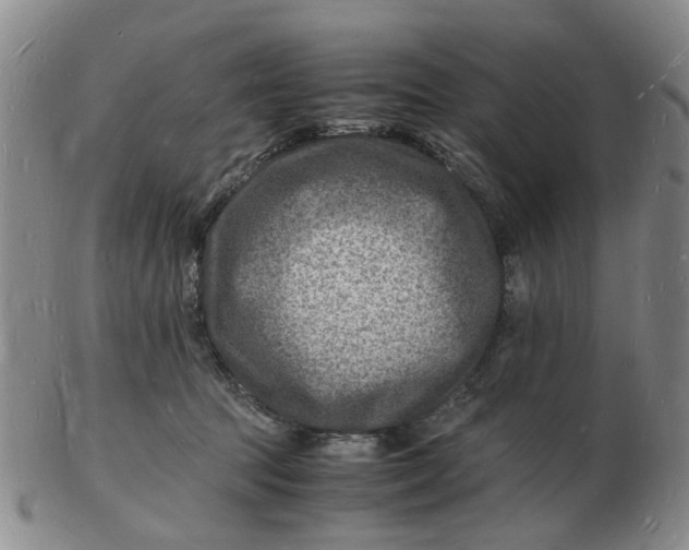 X0000102780369200809081032