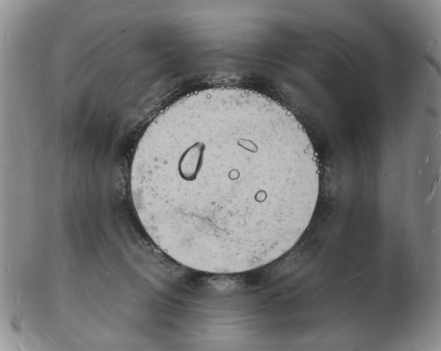 X0000102780370200809081032