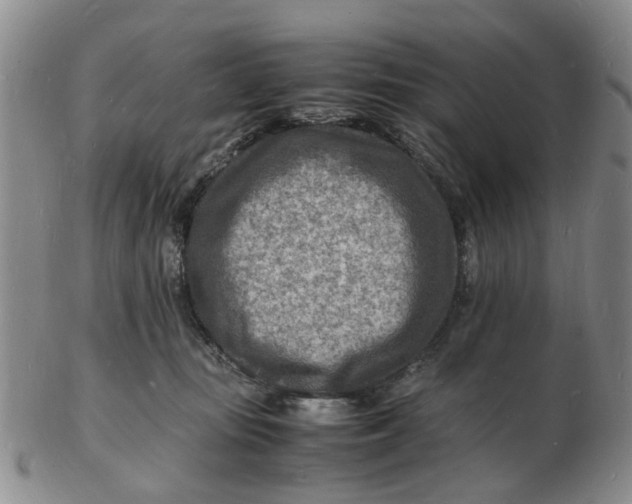 X0000102780371200809081032