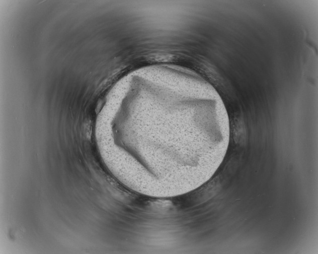 X0000102780374200809081033