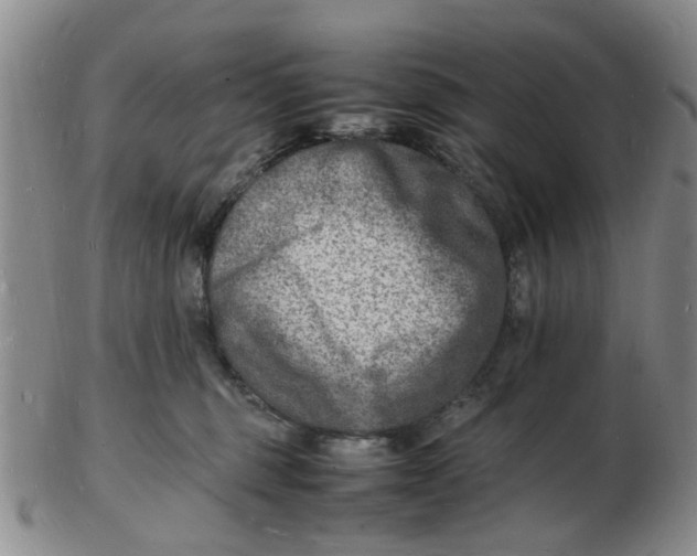 X0000102780375200809081033